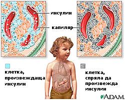 що е то