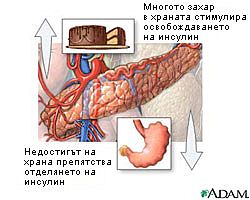 видове