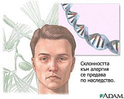 причини
